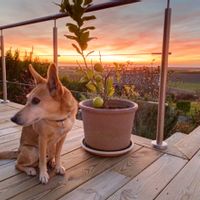Appartement en rez de jardin