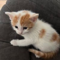 La chambre privée de Lina