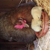 Maison autonome en énergie dans le sud de la France