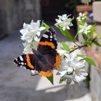 Chambre pour 2 personnes à 25 minutes de Toulouse