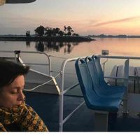 Maison en bois golfe du Morbihan