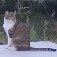 La maison d'Agnès se trouve dans un hameau à la campagne, très tranquille. Idéal pour se ressourcer.