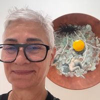 La maison de rosaura