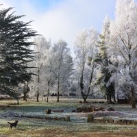 La maison du bonheur