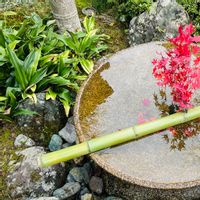 Pauline Jianpings hus