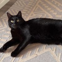 Greta & Wayne‘s home