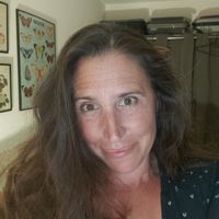 Entre le Mt-St-Michel et St-Malo, maison familiale avec jardin au coeur d'une cité de caractère