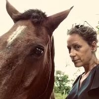 Havre de paix proche  à 10 minutes du centre-ville,  F2 en rez de chaussée, terrasse plein sud.