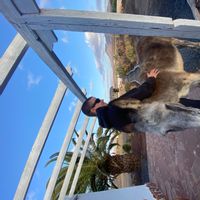 Martins Wohnung am Ostplatz