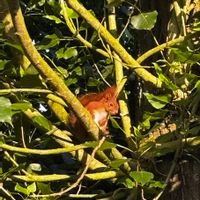 Maison Normande de charme