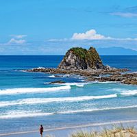 Magical Mangawhai house and more