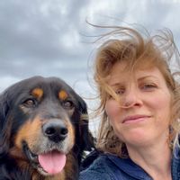 Vue mer et plage à pieds ! Appartement cosy et lumineux au coeur des dunes