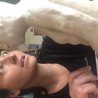 La maison-terrasse-bassin-parking centre ville