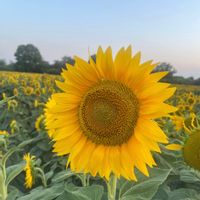 Casa di Familia Mado