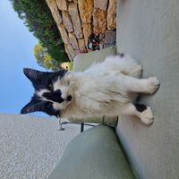 Notre maison familiale à la campagne!