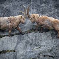 Maison en ville proche de la nature