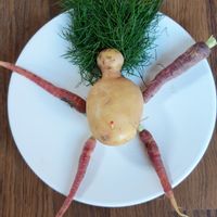 Charmant loft dans maison ancienne