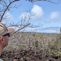 Grande maison 2 chambres au coeur de la nature et des Hautes-Laurentides.