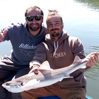 Tiny House et Terrasse bois en pleine nature.