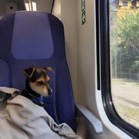 appartamento luminoso e centrico