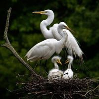 Spacious appartemment situated on the riverside