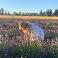 La maison de Alexandra