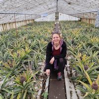 Casa di Csilla Monika