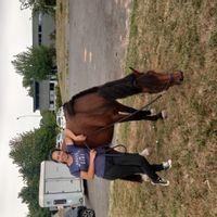 Chambre à Mulsanne chez Justine