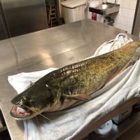 La maison à la campagne