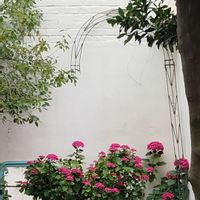 lola's house