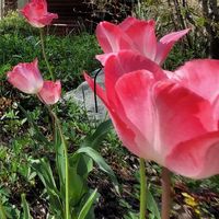 La maison de Françoise