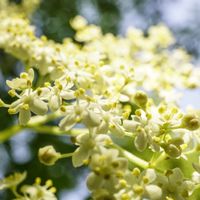 Appartement cosy proche de Paris