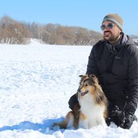 Appartement centre-ville Jonquiere