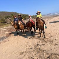 Forest-Set Mid-Century Family Home