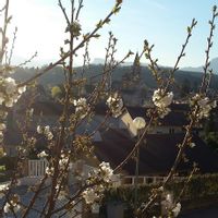 Maison accueillante avec une vue à couper le souffle