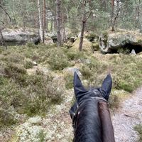 Cœur de village, maison familiale entre Seine et forêt