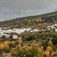 La maison de bernardo