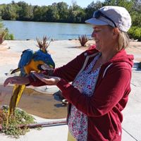 Maison deBourg en Bresse