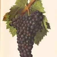 Maison près de Bordeaux