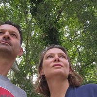 Mas provençal entre Avignon et le Lubéron