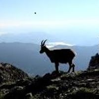 Un petit coin de montagne