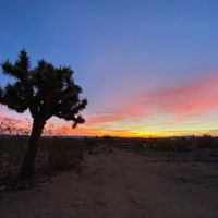 La maison de Gina Vadurro
