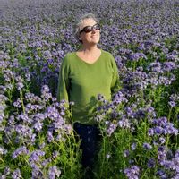 La maison des fontaines