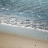 Studio 4 personnes sur la plage