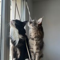 Appartement Cosy à Puteaux (La Defense- Paris)