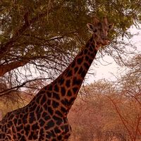 La maison de Caroline & Sébastien