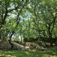 Petit have de paix Nature Lotois