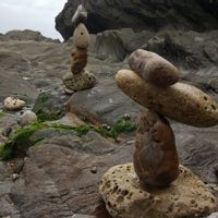 La maison dans les arbres