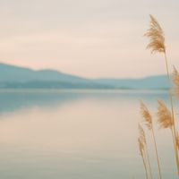 La maison de Séverine.