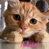 La maison de Natalie